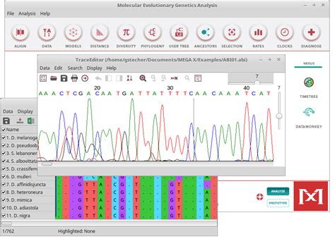 mega bioinformatics|megasoftware net.